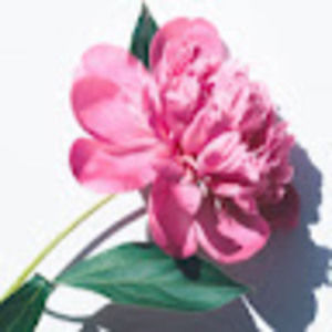 Meet your Posher, Chana